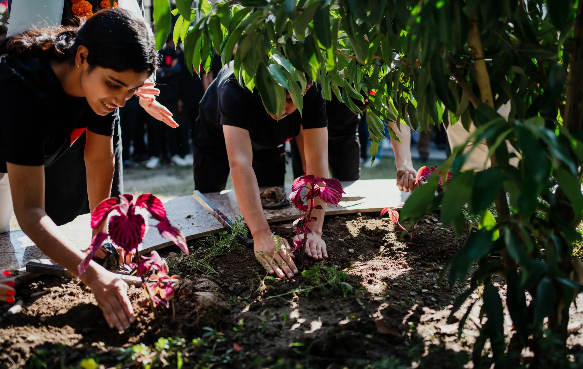 Image of female student at Pestalozzi India planting a flower outside