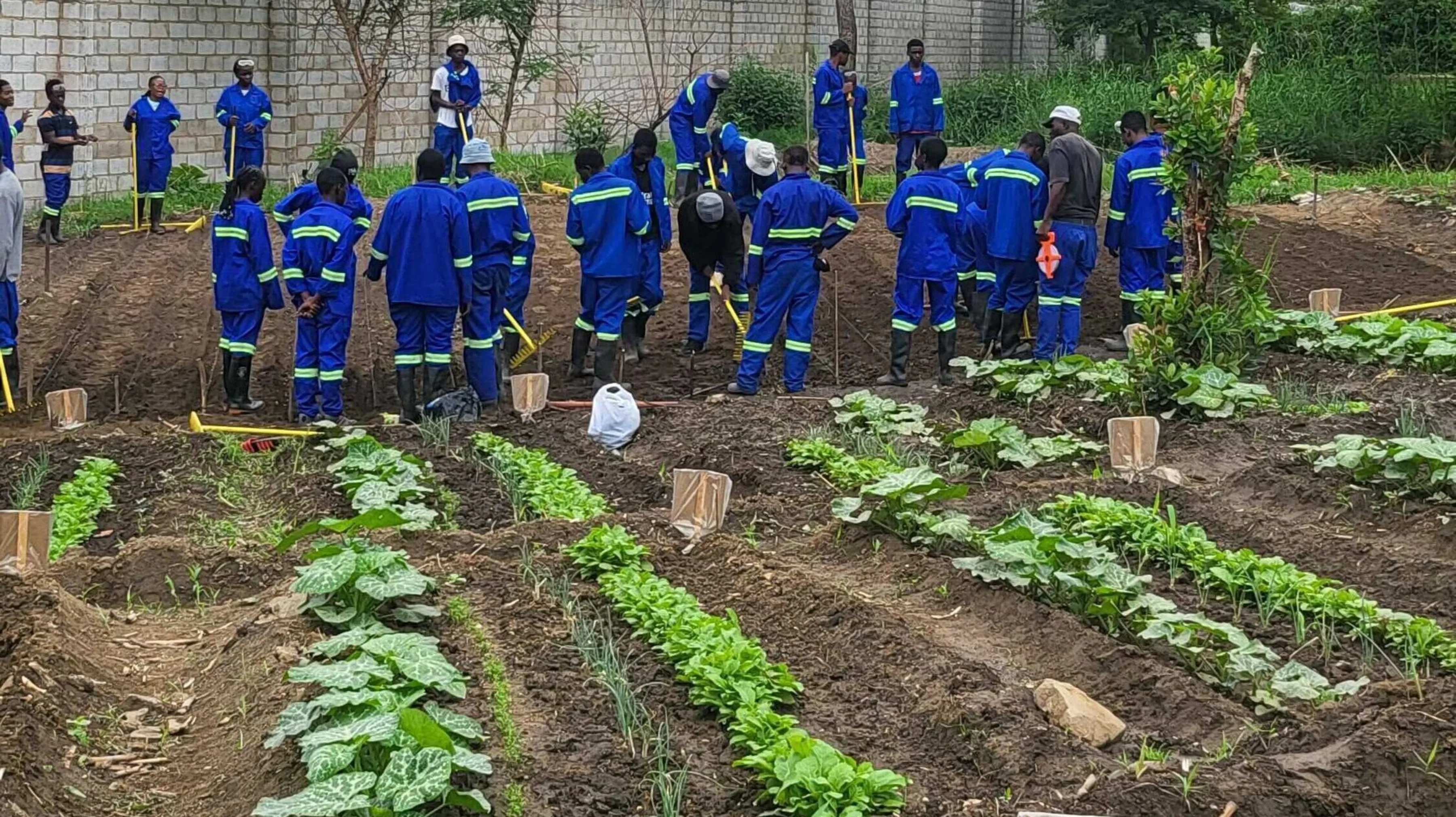 SkillsHub class in Agriculture in the garden on Pestalozzi campus Zambia