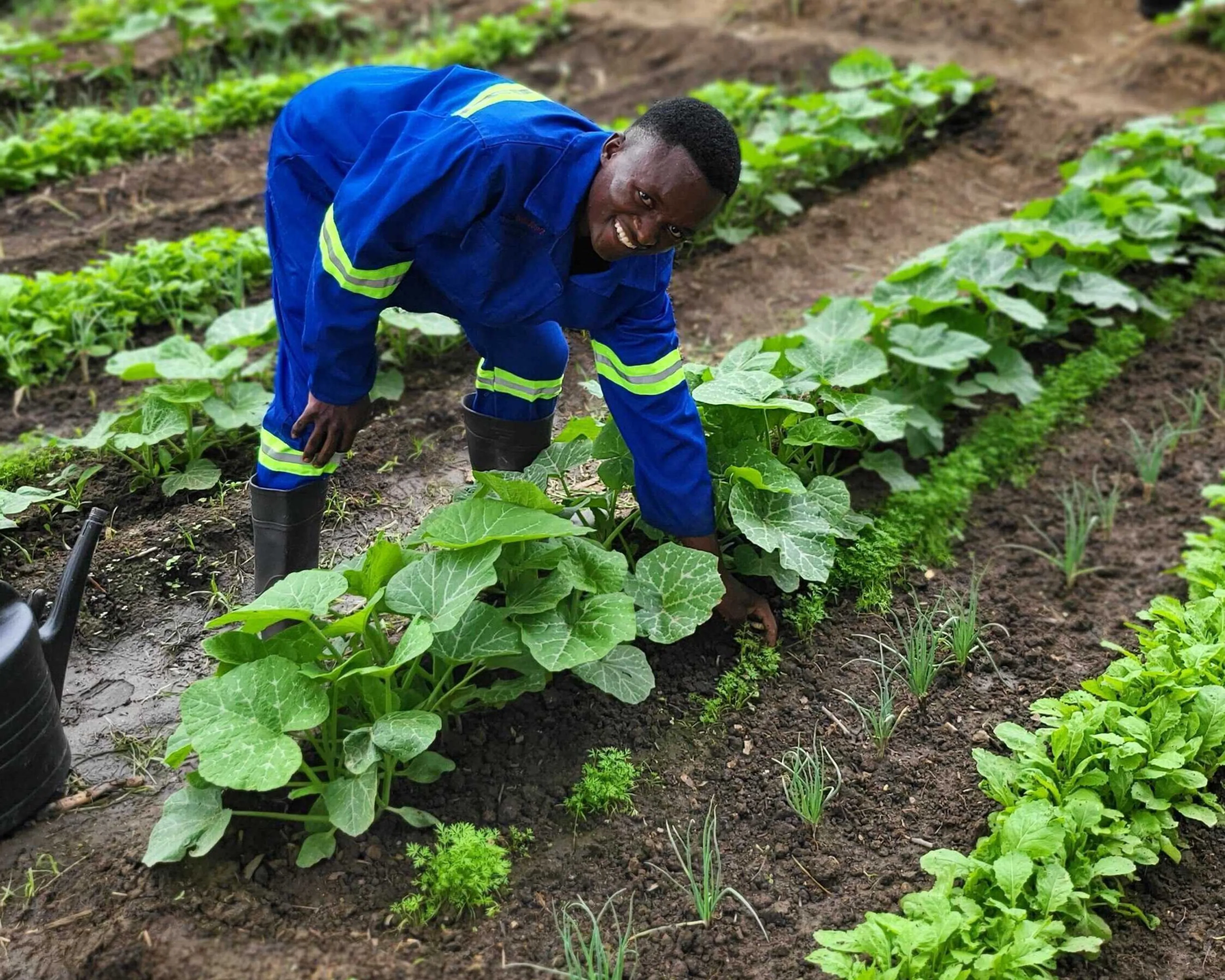 Skills Hub agriculture